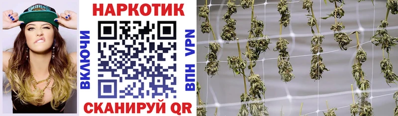 Виды наркотиков купить Питкяранта ГАШ Конопля Метамфетамин МЕГА онион Кетамин СК Меф