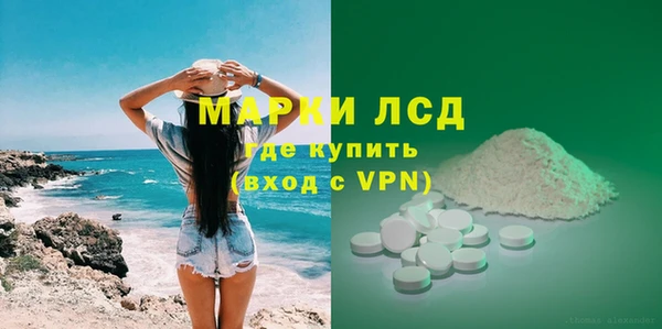 сатива Вязьма