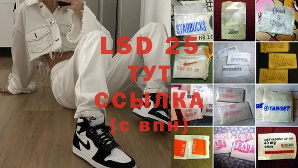 сатива Вязьма