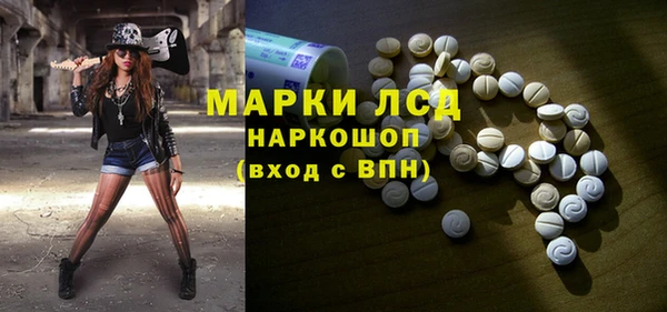 сатива Вязьма