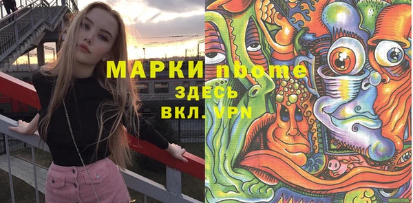 СК Туринск